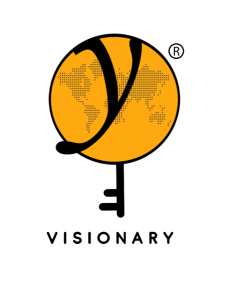 Visionary - Values Tee