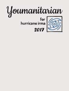 Hurricane Irma - Cropped Top Hoodie