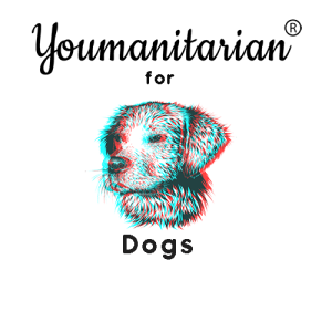 Festival Tank Animals - Futuristic Dog