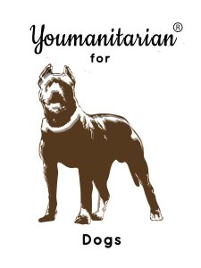 Flowy Muscle Tank- Pitbull Terrier